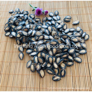 Chinese Black Watermelon Seeds in Big Size Bulk Price